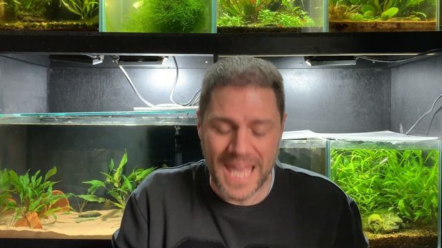 Axolotl Tank Setup (BEGINNERS GUIDE) смотреть онлайн