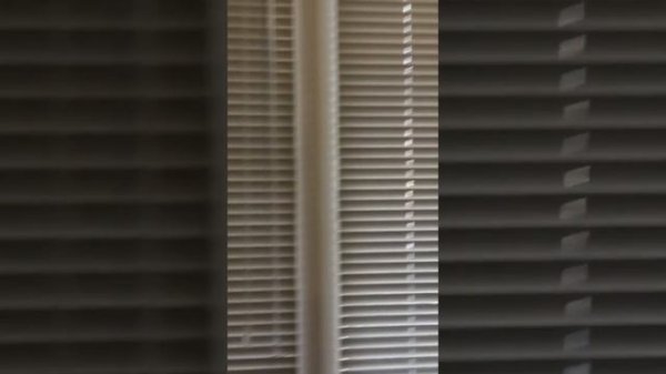 Жуковского 35