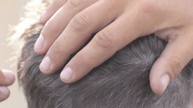 True Angeleno: Todd | Life Lived True - Baxter of California смотреть онлайн