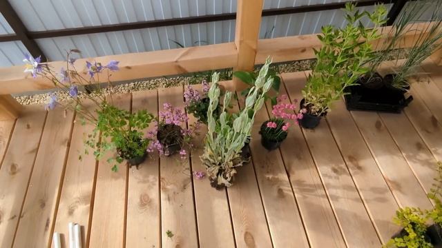 # 397. Большой обзор садовых покупок. Создаем красоту на участке. Загородная жизнь с нуля 2024 смотреть онлайн