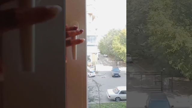 3х комнатная Светлая ,уютная квартира на Владивостокской 35 смотреть онлайн