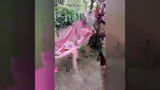 Горный Алтай , отдых в Алтае смотреть онлайн