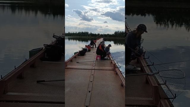 Бисерово , форель с открытия и до 16:00 25.08.2023 смотреть онлайн