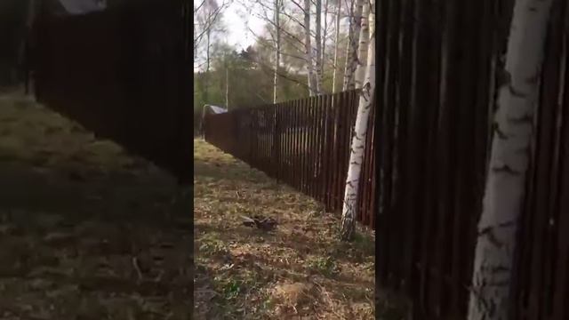 Строительство забора в КП 