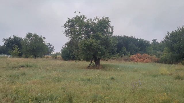 Деньги к деньгам или как выйти из бедности? смотреть онлайн