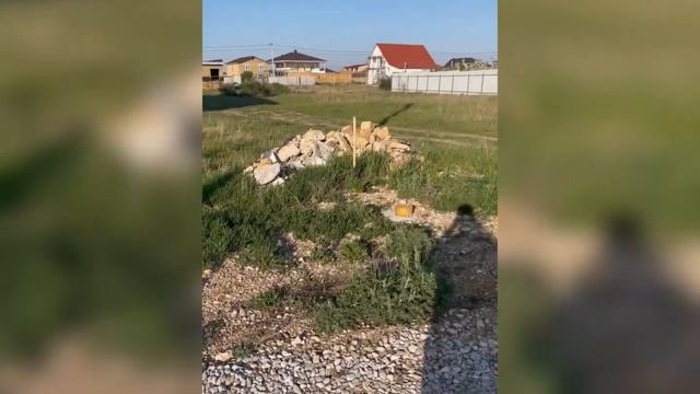 886870 смотреть онлайн