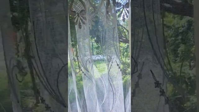 Солнечный дом . Полный видеообзор уже на канале. Купить дом в Калининграде. #риелторгуськов смотреть онлайн