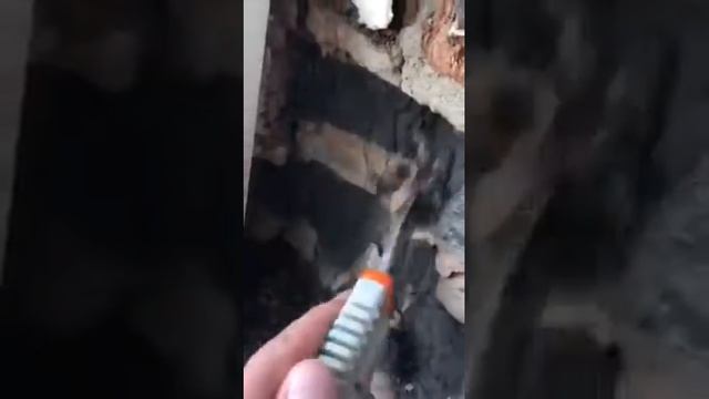 Новостройки Абакана Застройщик МЖФ