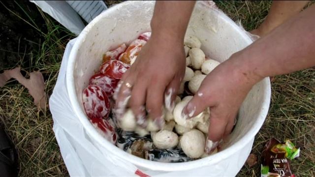 "Гусятник".
Белое озеро
1-2 сентября 2018 г. смотреть онлайн