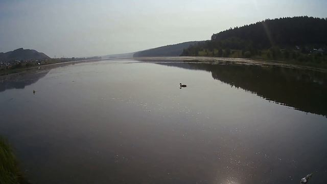 Видеозарисовка. г Сатка. Городской пруд. Монтаж видео 9 августа 2022 г. смотреть онлайн