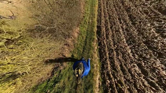 GoPro MAX Test Edit Run смотреть онлайн