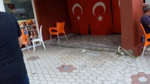 CONCORDIA CELES HOTEL 5 ☆ (ОБЗОР ОТЕЛЯ В ТУРЦИИ АЛАНИЯ)