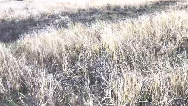 Влог. Растёт творческая Личность! Садик. Поля.