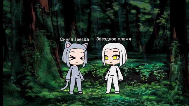 короче мой новый акк по кв тут типо зп спрашивает синюю звезду какой раньше был звездоцап смотреть онлайн