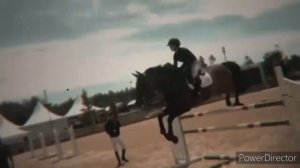 клип конный спорт(скорость)