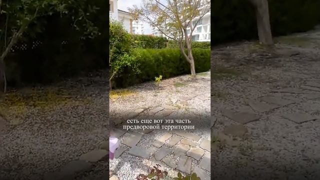 Купили недвижимость на Северном Кипре смотреть онлайн