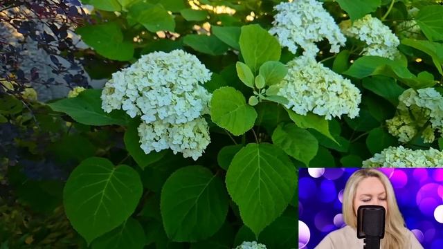 Вернувшись в родной город, Вадим застыл, увидев на вокзале жену с любовником. И решив подслушать... смотреть онлайн