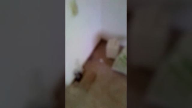 Реальные инвестиции в доходную недвижимость без вложений. Консультации бесплатно. смотреть онлайн