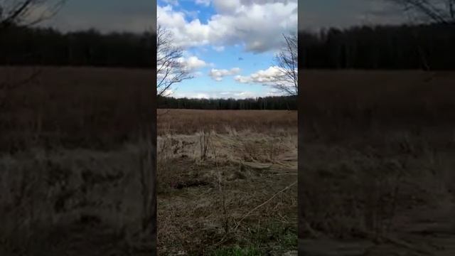Земельный участок под Каширой смотреть онлайн