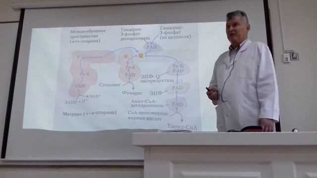 Лекция по биохимии 20.12.17 (1часть) смотреть онлайн
