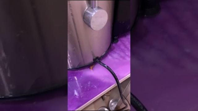 Компания "ГЦД" Обработка квартиры от тараканов. смотреть онлайн