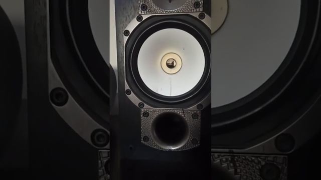 Paradigm Studio 20 V5  🇧🇷