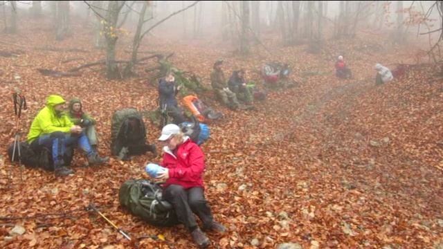 "Осенний Крым"
Ноябрь 2020 г. смотреть онлайн