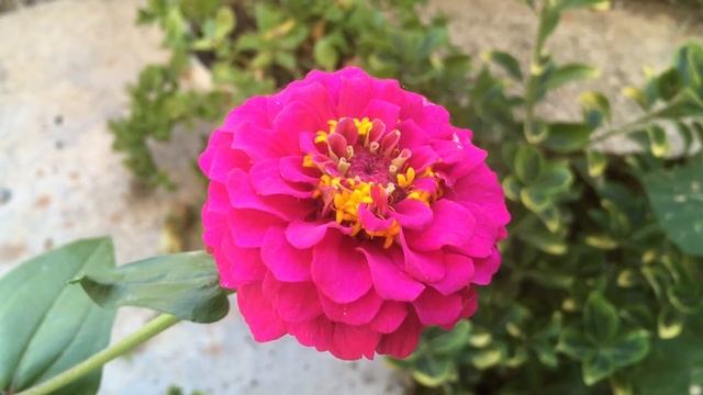 İphone 5se 1080 60 fps movie test смотреть онлайн