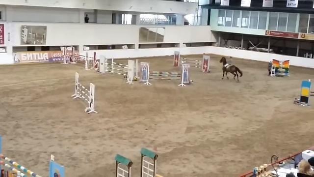 КСК Битца конкур 30.01.16 смотреть онлайн