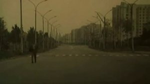 страдания (белые росы)