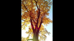 городские фотографии века ,выставки 450 УФА-художники всех возрастов, выставки  сквозь столетия