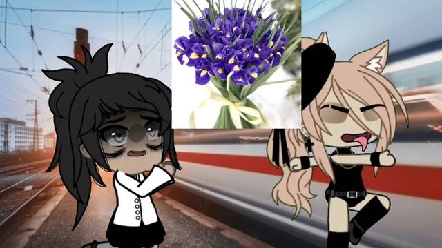 🌿//Ирисы~Нарциссы//Гача лайф//meme//🍃 смотреть онлайн