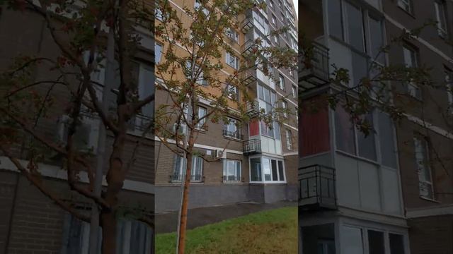 #яблоневая аллея 🍏🍎🌺#дружды улица #самолет смотреть онлайн