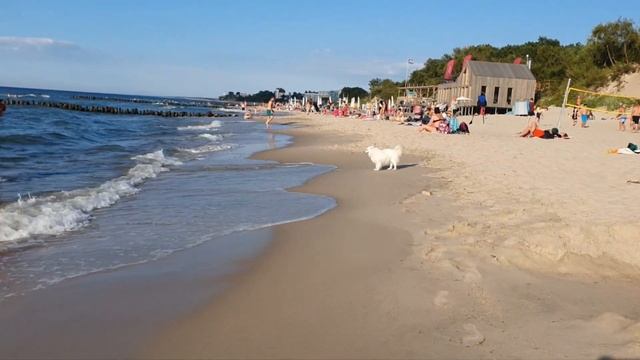 🌻Посёлок Малиновка, Зеленоградский городской округ, Калининградская область. Отдых на пляже.💦💦💦 смотреть онлайн
