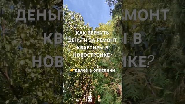 КАК ВЕРНУТЬ ДЕНЬГИ ЗА РЕМОНТ КВАРТИРЫ В НОВОСТРОЙКЕ? 👉далее в описании смотреть онлайн