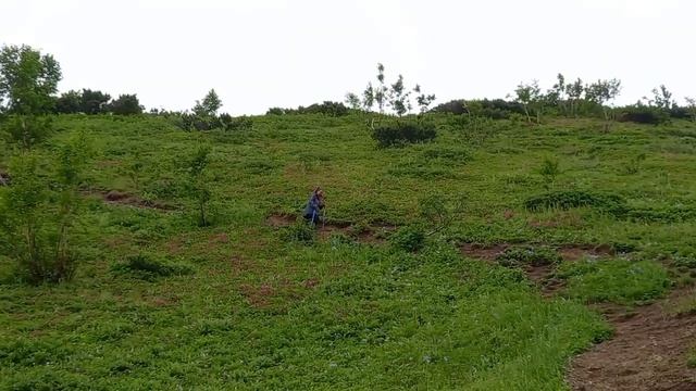 На машине по Камчатке! Вачкажец/Малки/мыс Маячный. Встретили сразу трёх медведей! смотреть онлайн