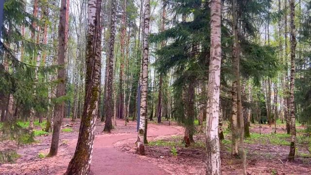 Почему только свое стираешь? Деверь бросил в лицо невестки свои грязные трусы. смотреть онлайн