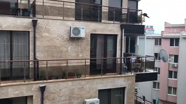 Квартира номер 12 смотреть онлайн