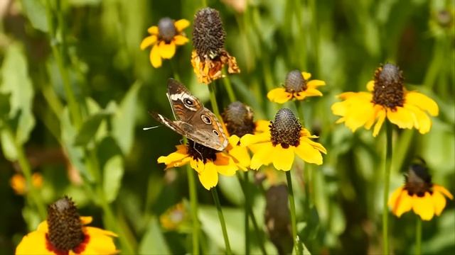 «А кто это тут такая красивая» - трое зажали меня в подворотне и стали срывать с меня одежду. Я был смотреть онлайн