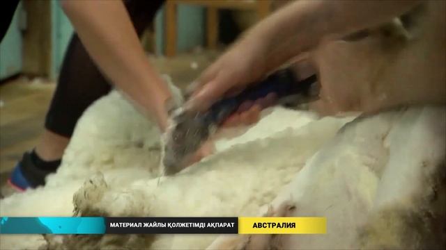 Әлем жаңалықтары (31.08.2021) смотреть онлайн