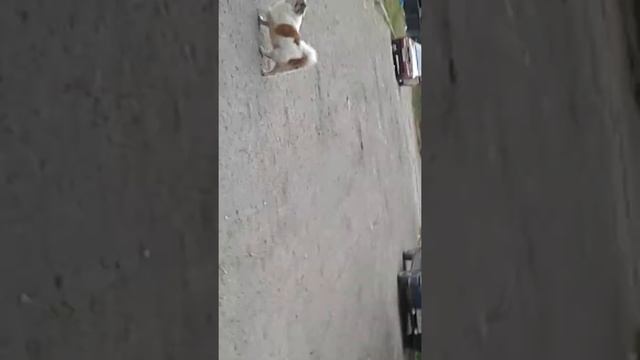 Очень страшная гроза в Луганске. смотреть онлайн
