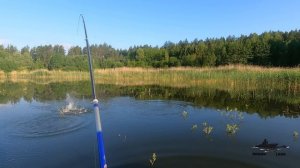 ЛОВЛЯ ЛИНЯ на удочку с БОКОВЫМ КИВКОМ . РЫБАЛКА  на ЛИНЯ летом .