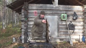 Рыбалка и охота в тайге / три дня в тайге / щуки и налимы на жерлицы и кружки