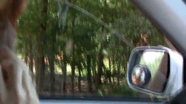 Wild Animal Safari in Pine Mountain, GA смотреть онлайн