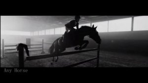 Equetrian sport | Motivation video | Мотивационный клип конный спорт