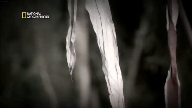 Салахуддин аль Аюби - мусульманский полководец, преподавший крестоносцам, уроки чести! смотреть онлайн