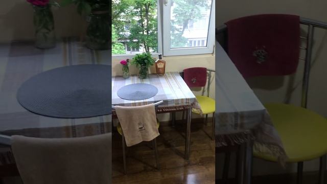 20 мая 2024 г. смотреть онлайн