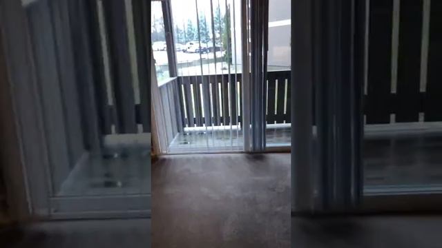 Willowbrook Apartments: 18-204 Laurel смотреть онлайн