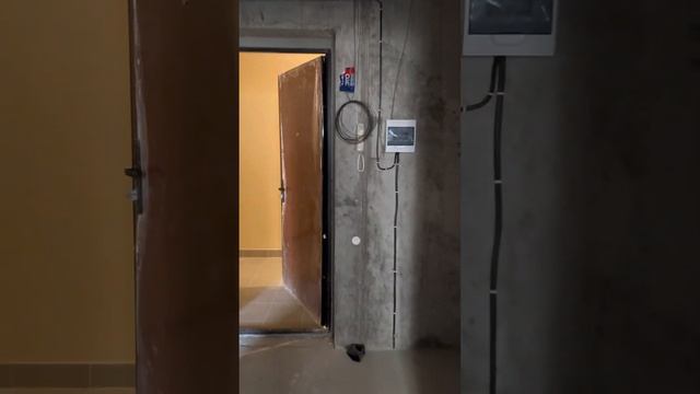 1 ком квартира в сданном доме ЖК Солнечный Парк смотреть онлайн