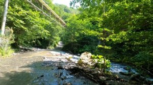 Медовеевка. Сочи